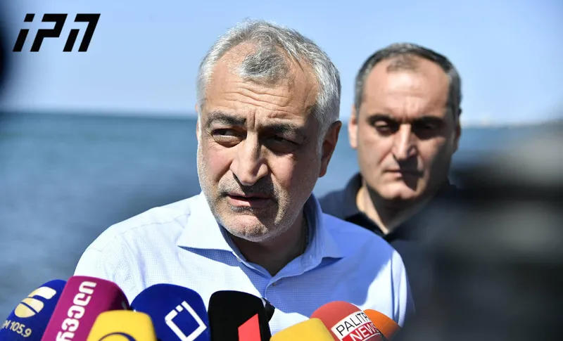 Mamuka Khazaradze: "Shadow cabinet" will be formed in the spring